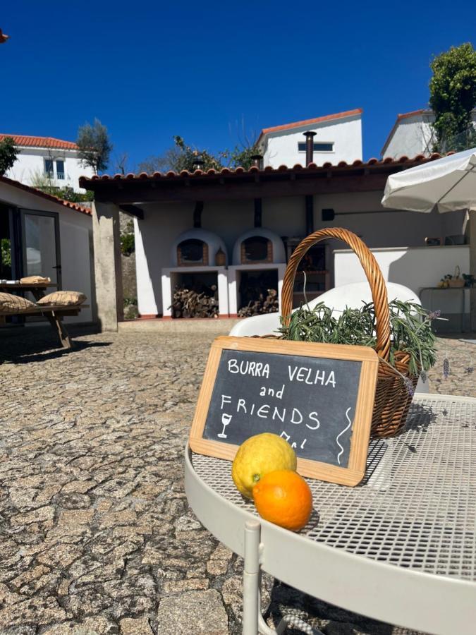 セロリコ・デ・バスト Burra Velha - Private Houseヴィラ エクステリア 写真